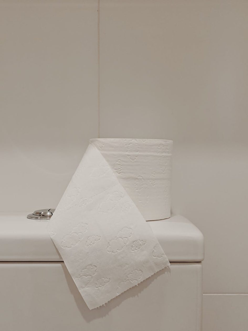 white toilet paper roll on ceramic toilet